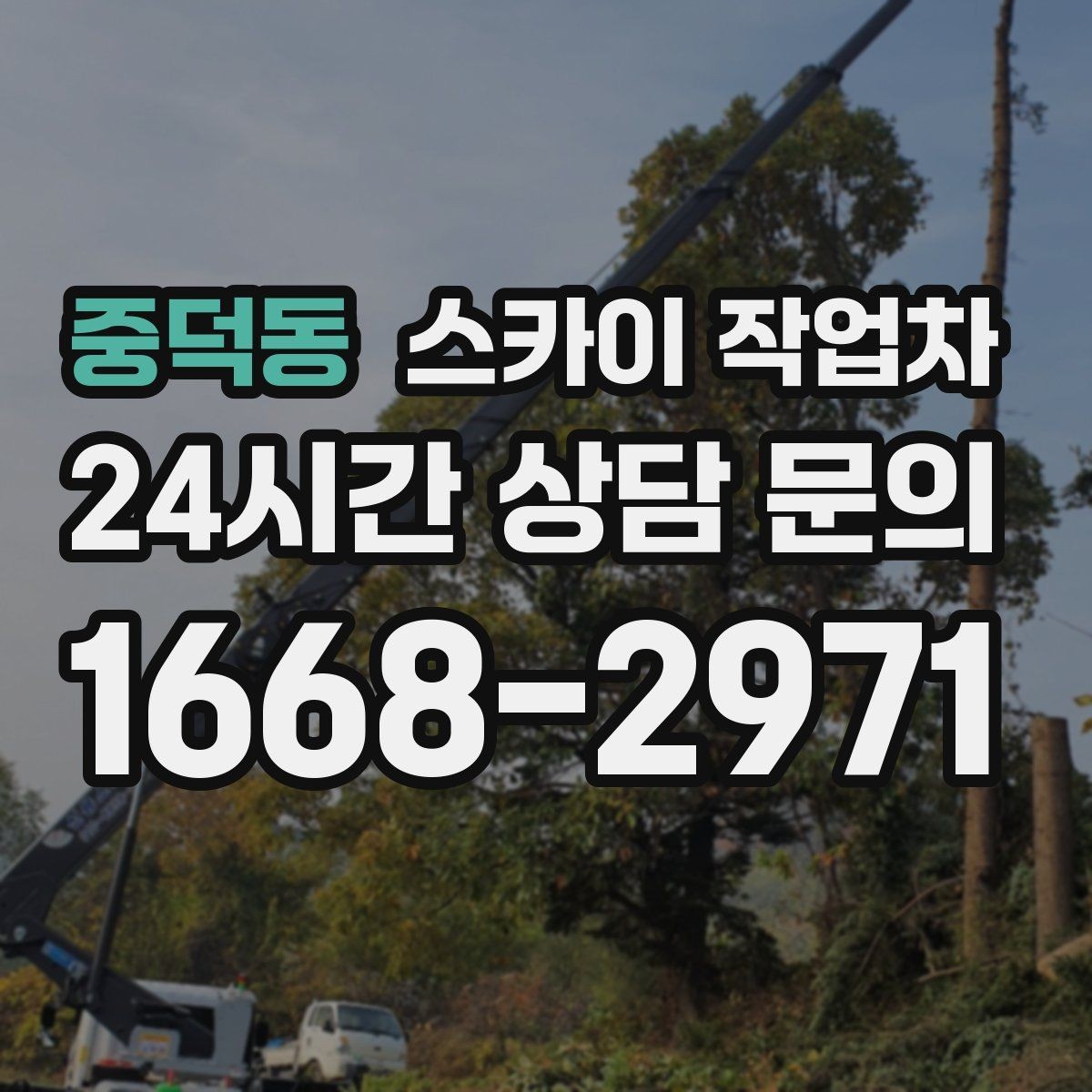 중덕동 스카이 작업차 간판 재설치 전 위치 재확인 팁