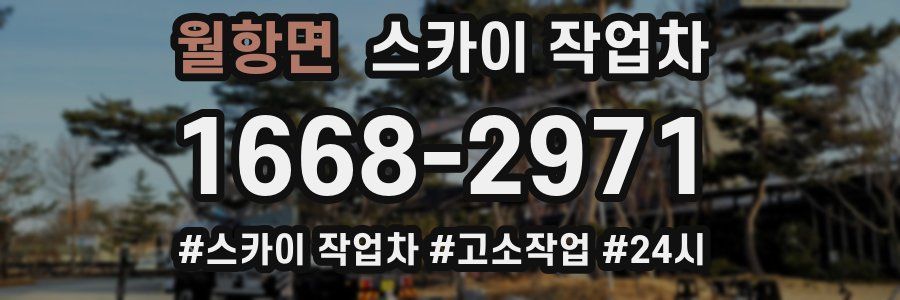 월항면 스카이 작업차