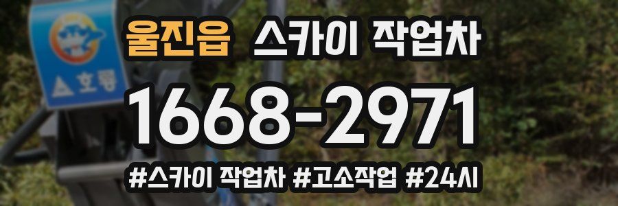 울진읍 스카이 작업차
