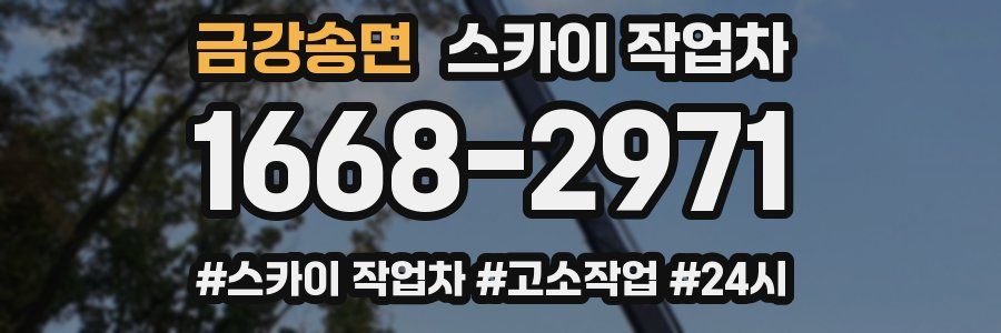 금강송면 스카이 작업차