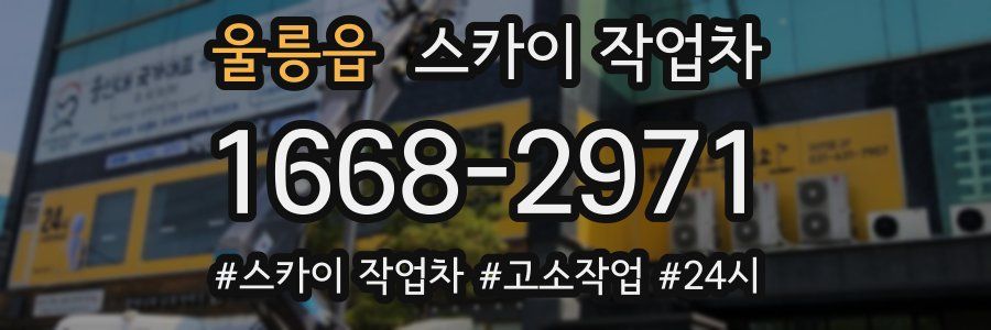 울릉읍 스카이 작업차