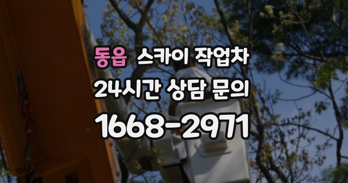 동읍 스카이 작업차