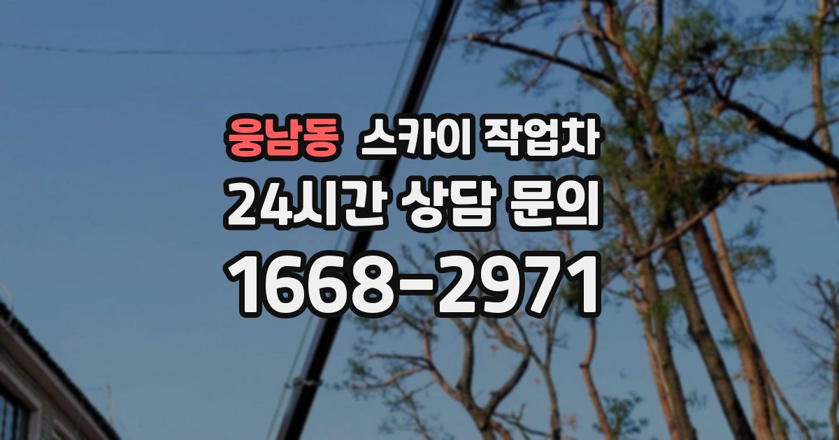 웅남동 스카이 작업차