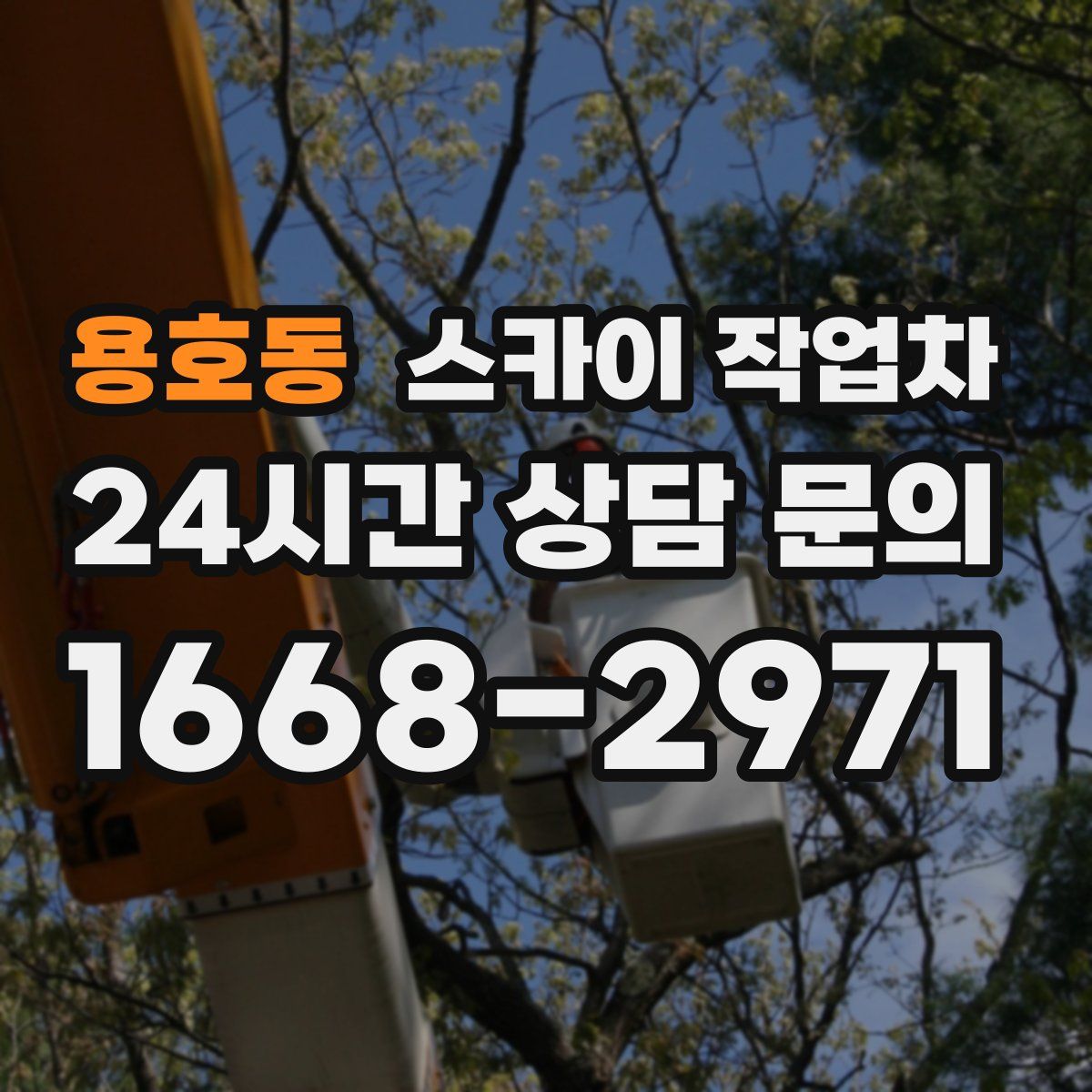 용호동 스카이 작업차