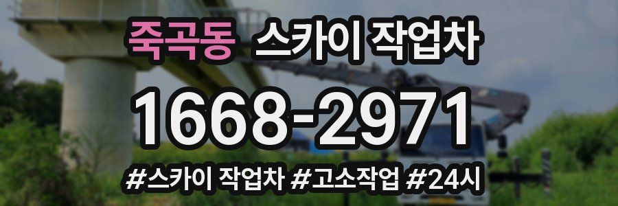 죽곡동 스카이 작업차