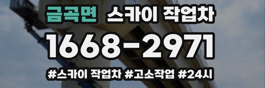 금곡면 스카이 작업차