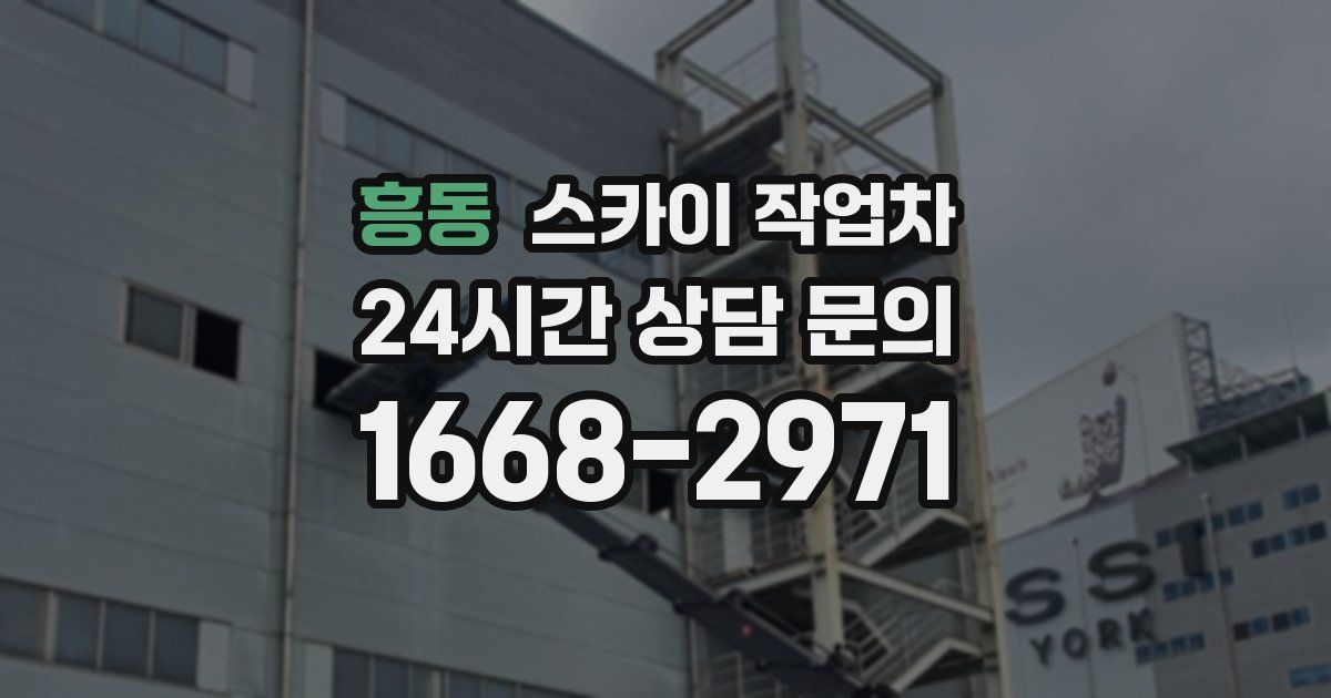 흥동 스카이 작업차