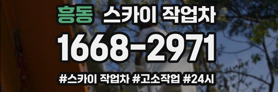 흥동 스카이 작업차