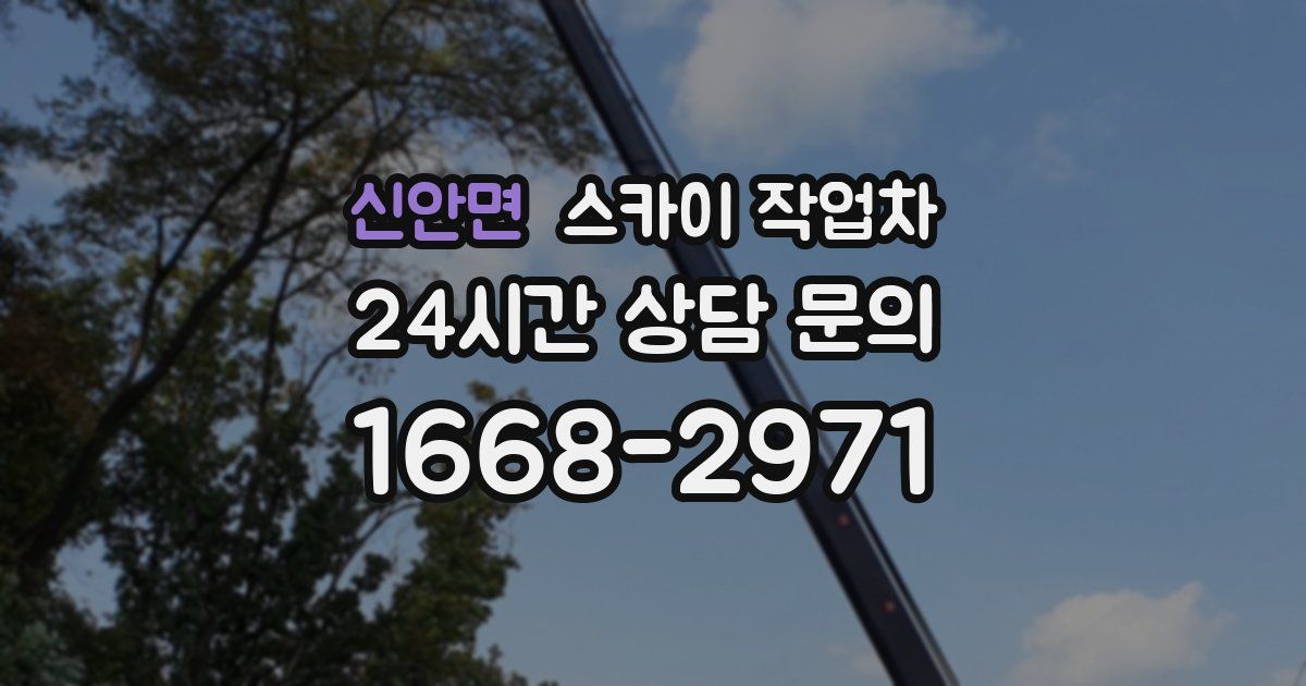 신안면 스카이 작업차