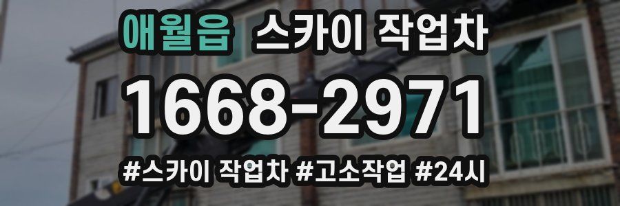 애월읍 스카이 작업차