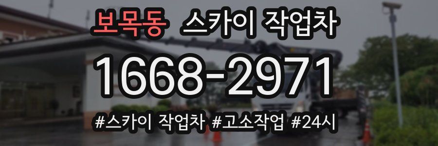 보목동 스카이 작업차