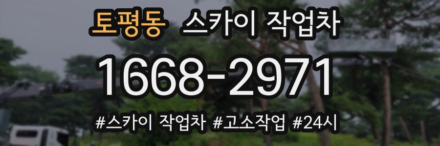 토평동 스카이 작업차
