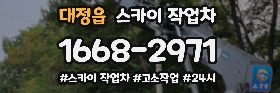 대정읍 스카이 작업차