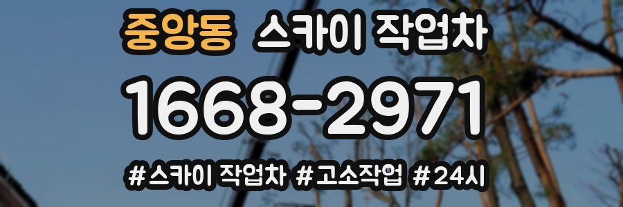 중앙동 스카이 작업차