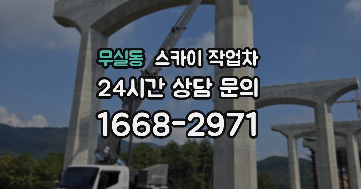 무실동 스카이 작업차