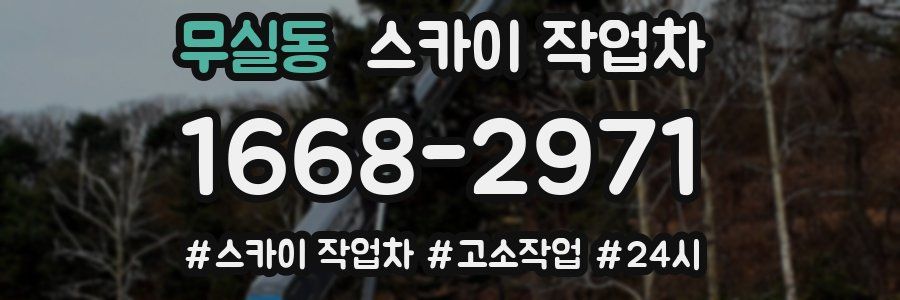 무실동 스카이 작업차