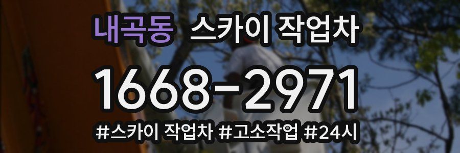 내곡동 스카이 작업차