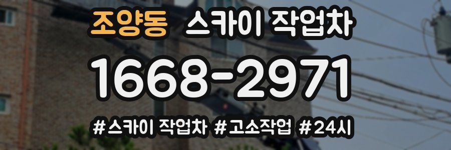 조양동 스카이 작업차