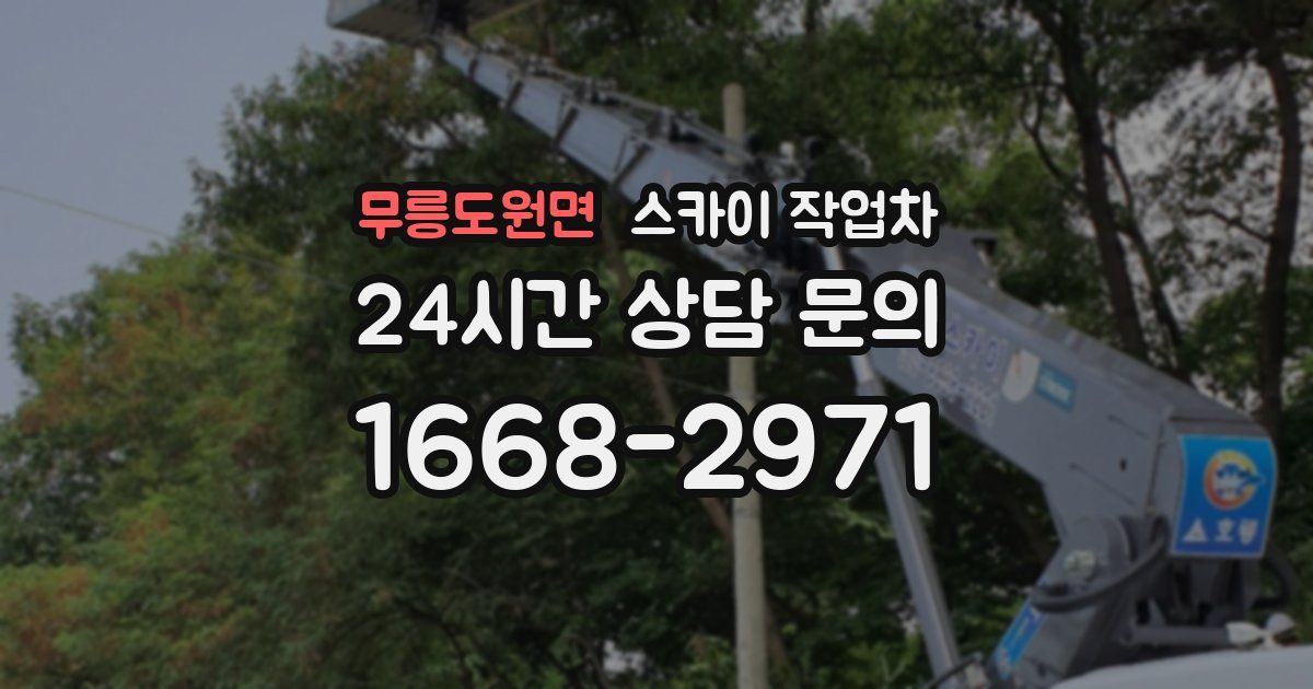 무릉도원면 스카이 작업차