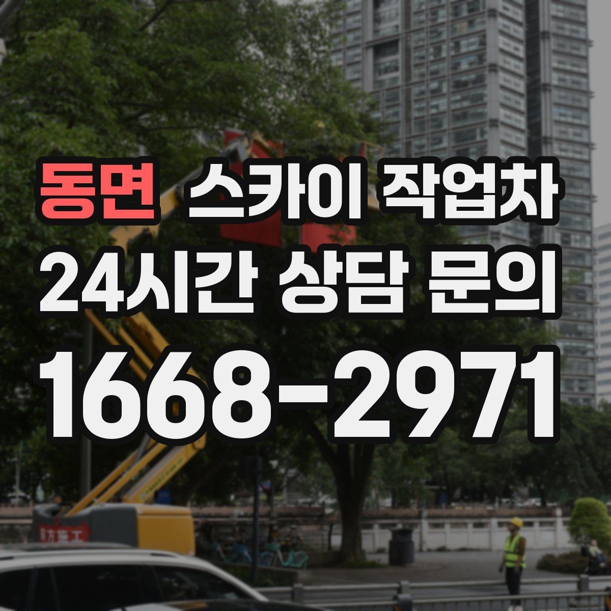동면 스카이 작업차 통신선 정리로 외관 깔끔하게 만들기