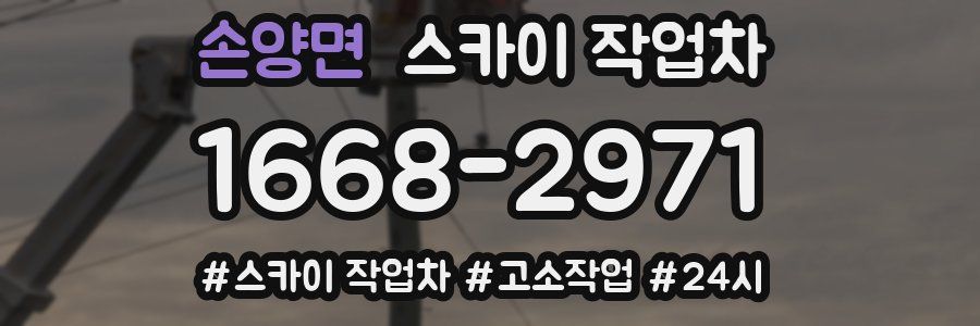 손양면 스카이 작업차