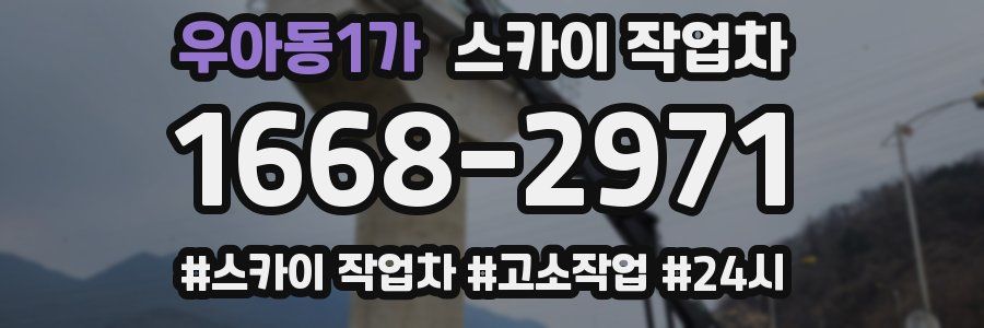 우아동1가 스카이 작업차