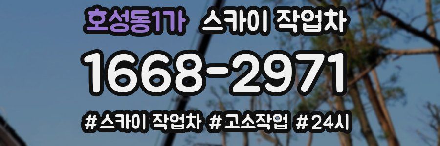 호성동1가 스카이 작업차