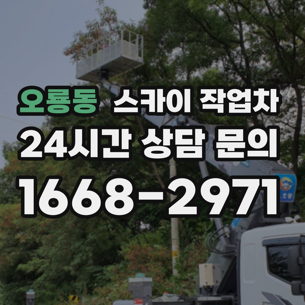 오룡동 스카이 작업차