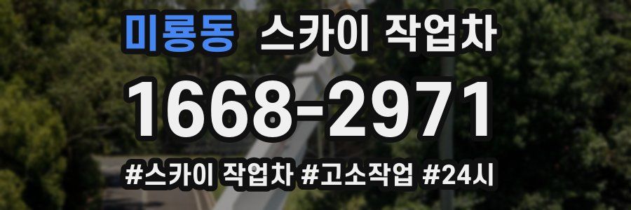 미룡동 스카이 작업차