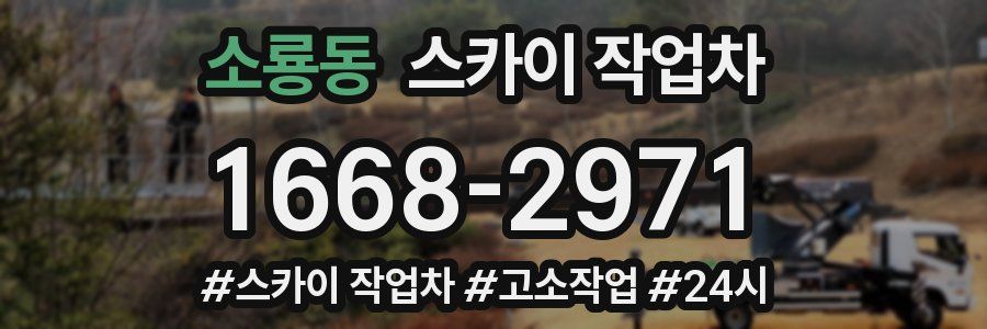 소룡동 스카이 작업차