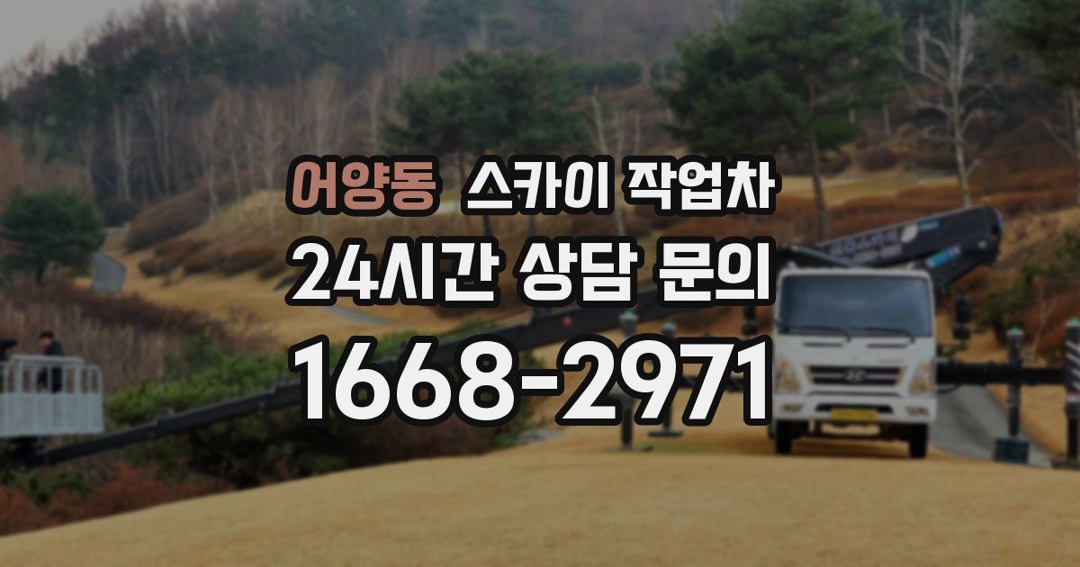 어양동 스카이 작업차