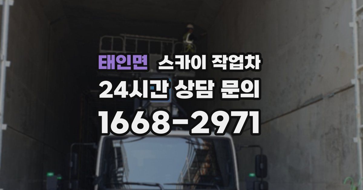 태인면 스카이 작업차