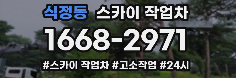 식정동 스카이 작업차