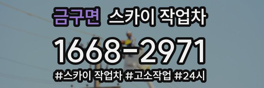 금구면 스카이 작업차