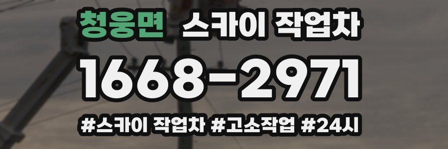 청웅면 스카이 작업차