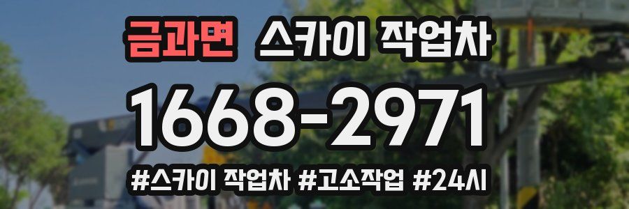 금과면 스카이 작업차