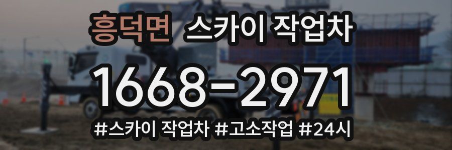 흥덕면 스카이 작업차