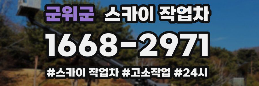 군위군 스카이 작업차