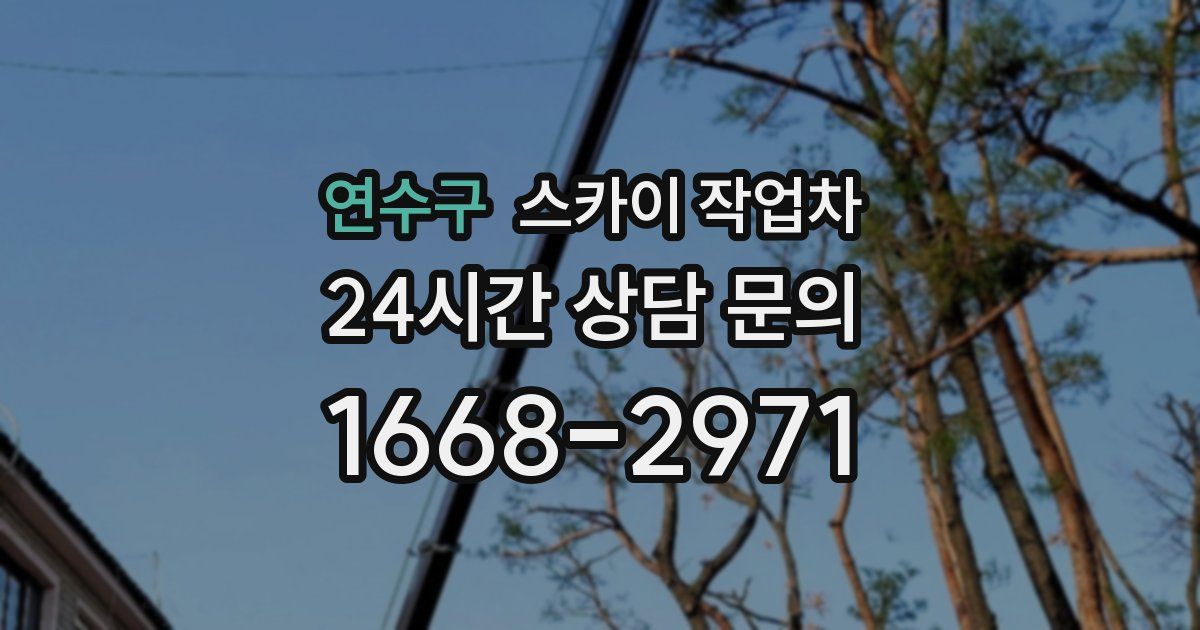 연수구 스카이 작업차