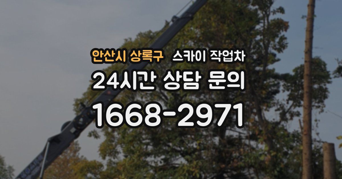 안산시 상록구 스카이 작업차