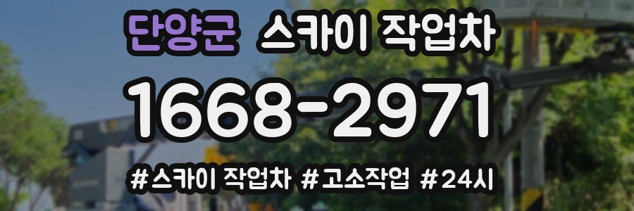 단양군 스카이 작업차