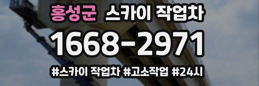 홍성군 스카이 작업차