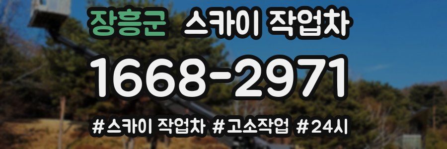 장흥군 스카이 작업차