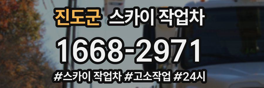 진도군 스카이 작업차