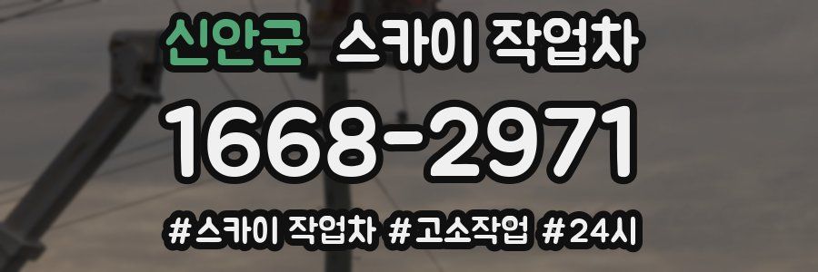 신안군 스카이 작업차