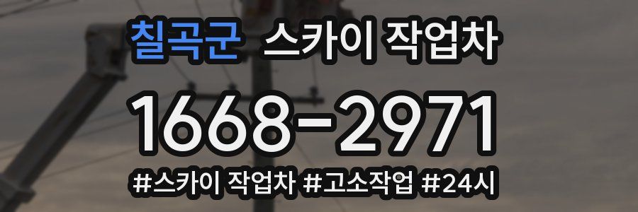 칠곡군 스카이 작업차