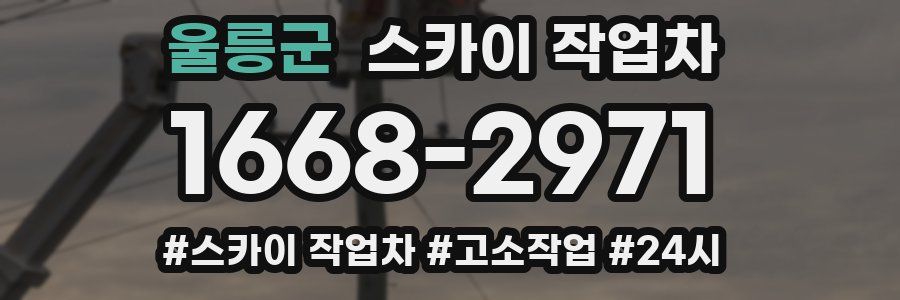 울릉군 스카이 작업차
