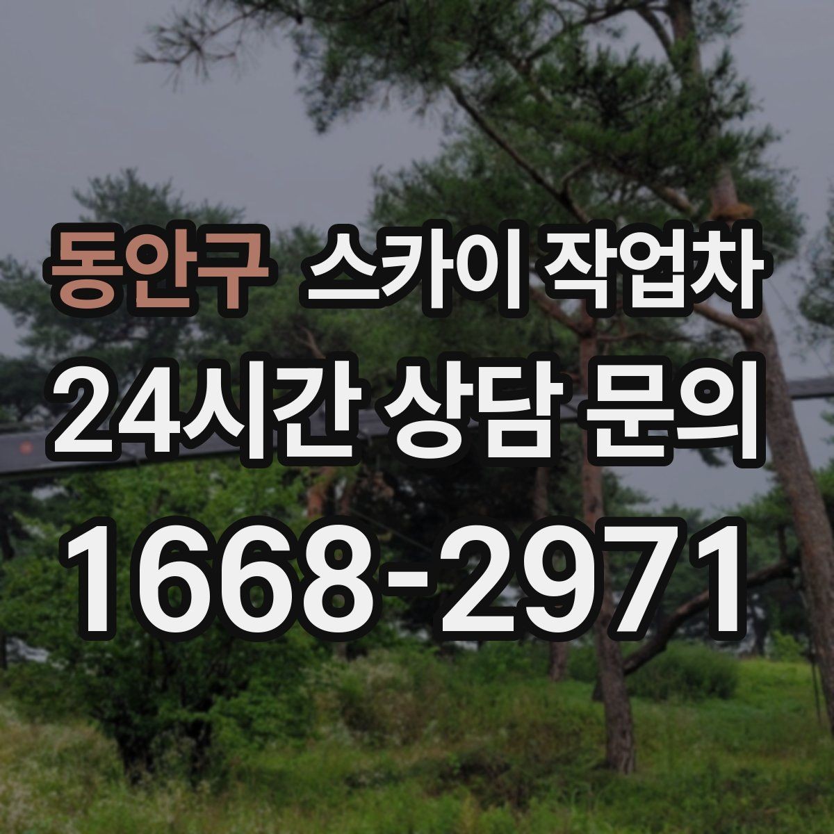 동안구 스카이 작업차 카페 외벽 간판 교체로 분위기 개선