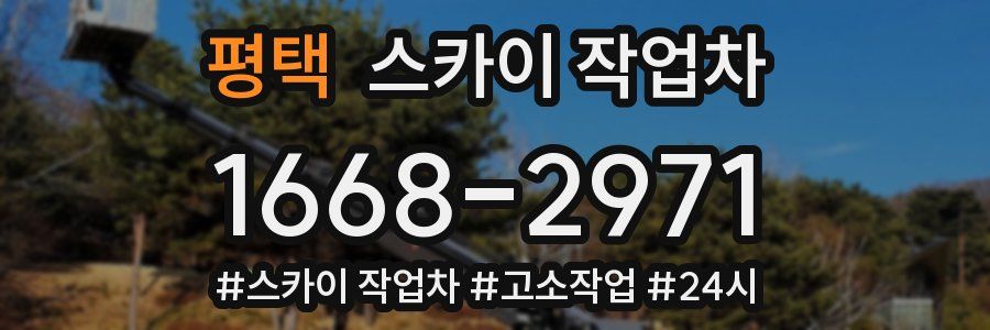 평택 스카이 작업차