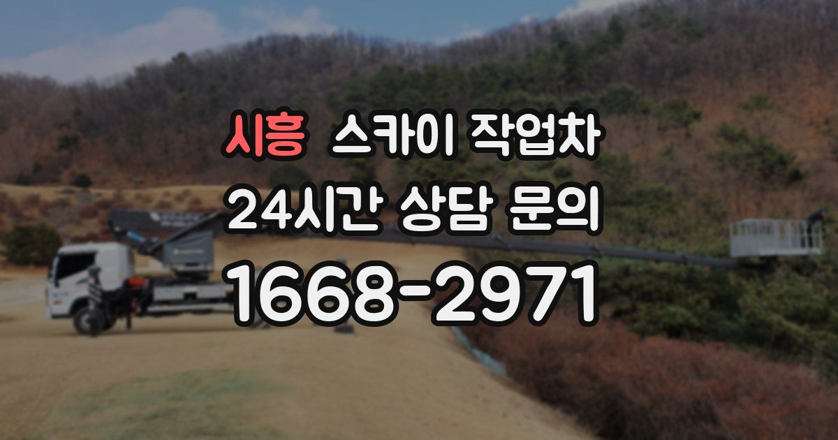 시흥 스카이 작업차